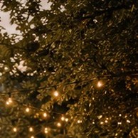 String lights, warm white