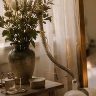 Morning flowers
