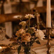 Glass bud vases